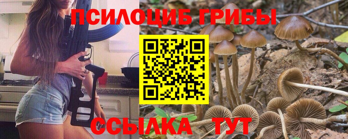 Псилоцибиновые грибы Magic Shrooms  Вход с VPN  Сибай 